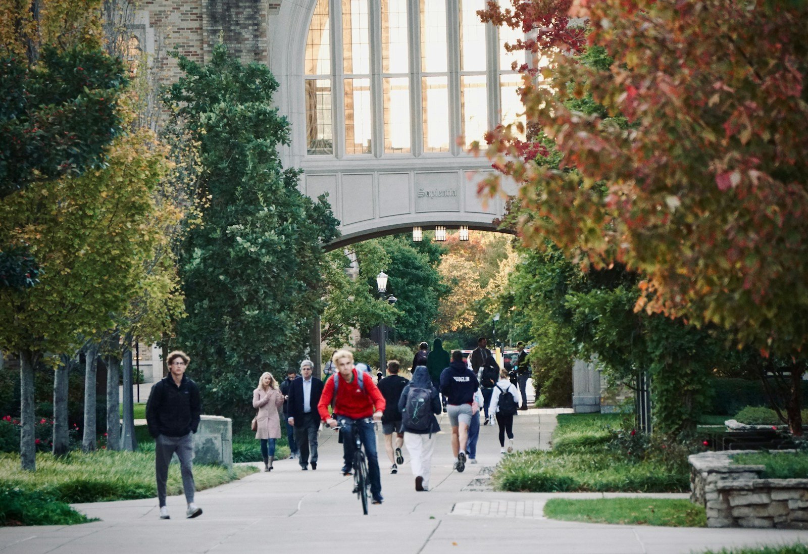 Die neue Campus-Generation: Wie Gen Z die Hochschulen verändert